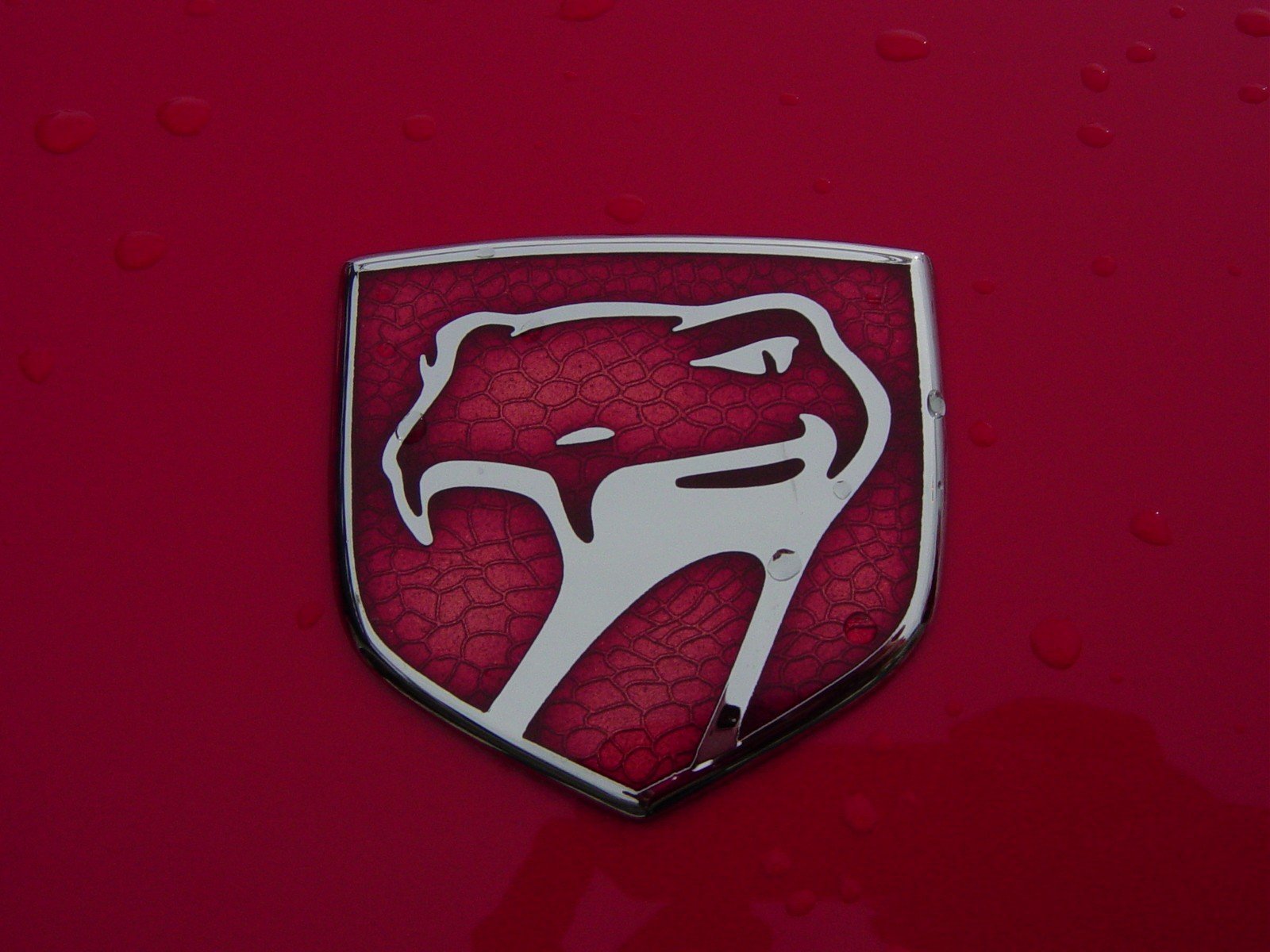 Dodge Viper Crest — HD Wallpaper, image size:1600x1200