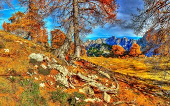 HD Wallpaper | Background Image ID:400086