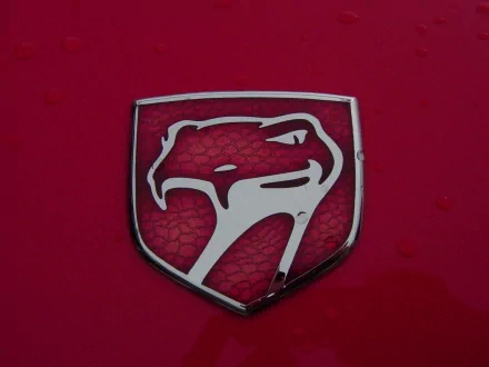 vehicle Dodge Viper HD Desktop Wallpaper | Background Image