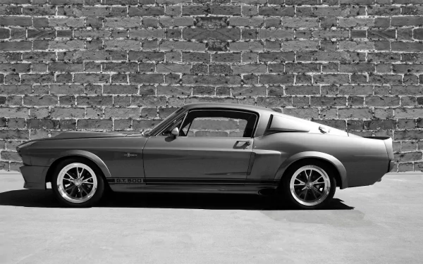 vehicle Ford Mustang GT500 HD Desktop Wallpaper | Background Image