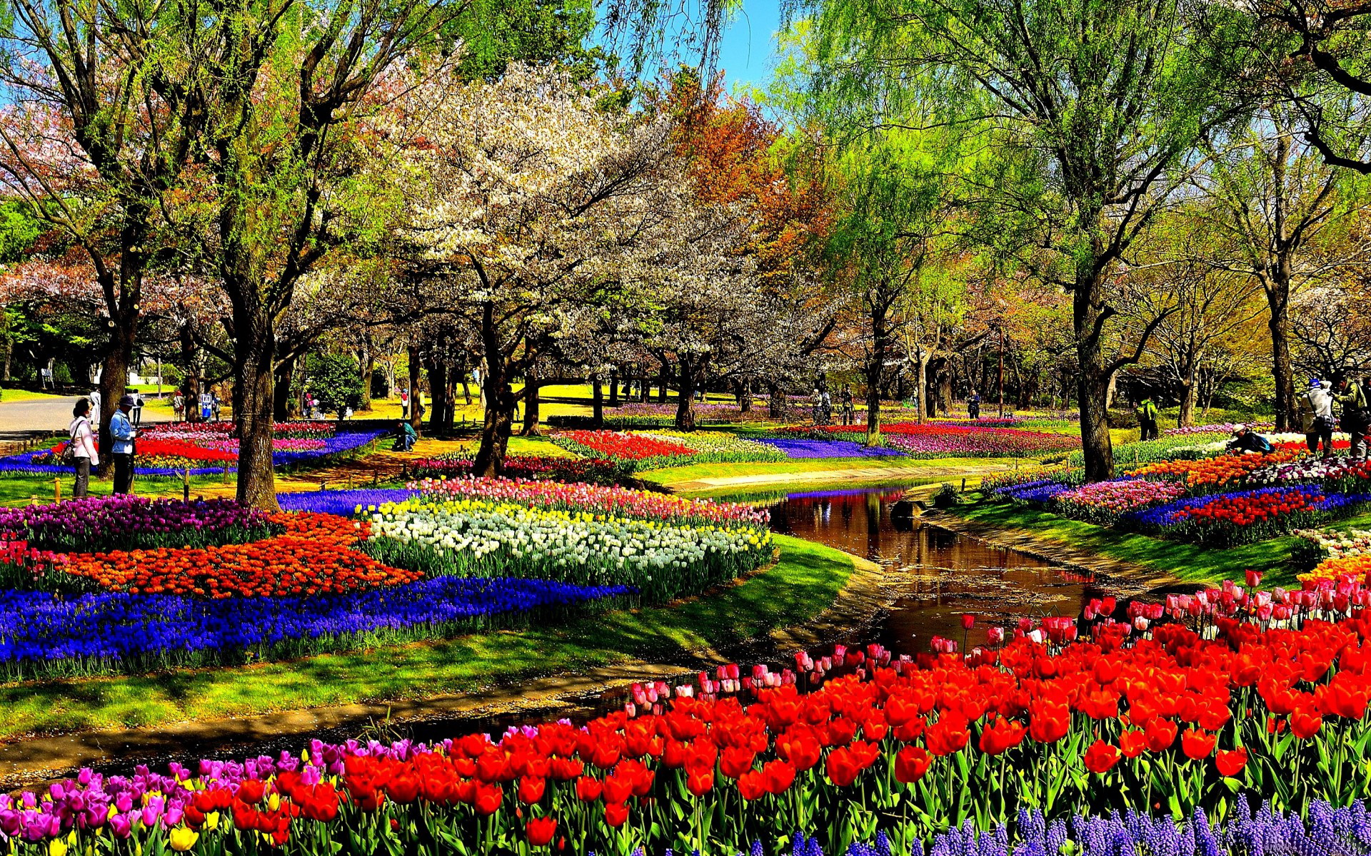 Park Full HD Wallpaper and Background Image | 1920x1200 | ID:401023