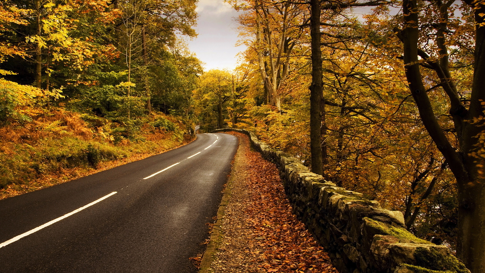 HD wallpaper: gray asphalt road, marking, line, yellow, strip, clouds,  roadside | Wallpaper Flare