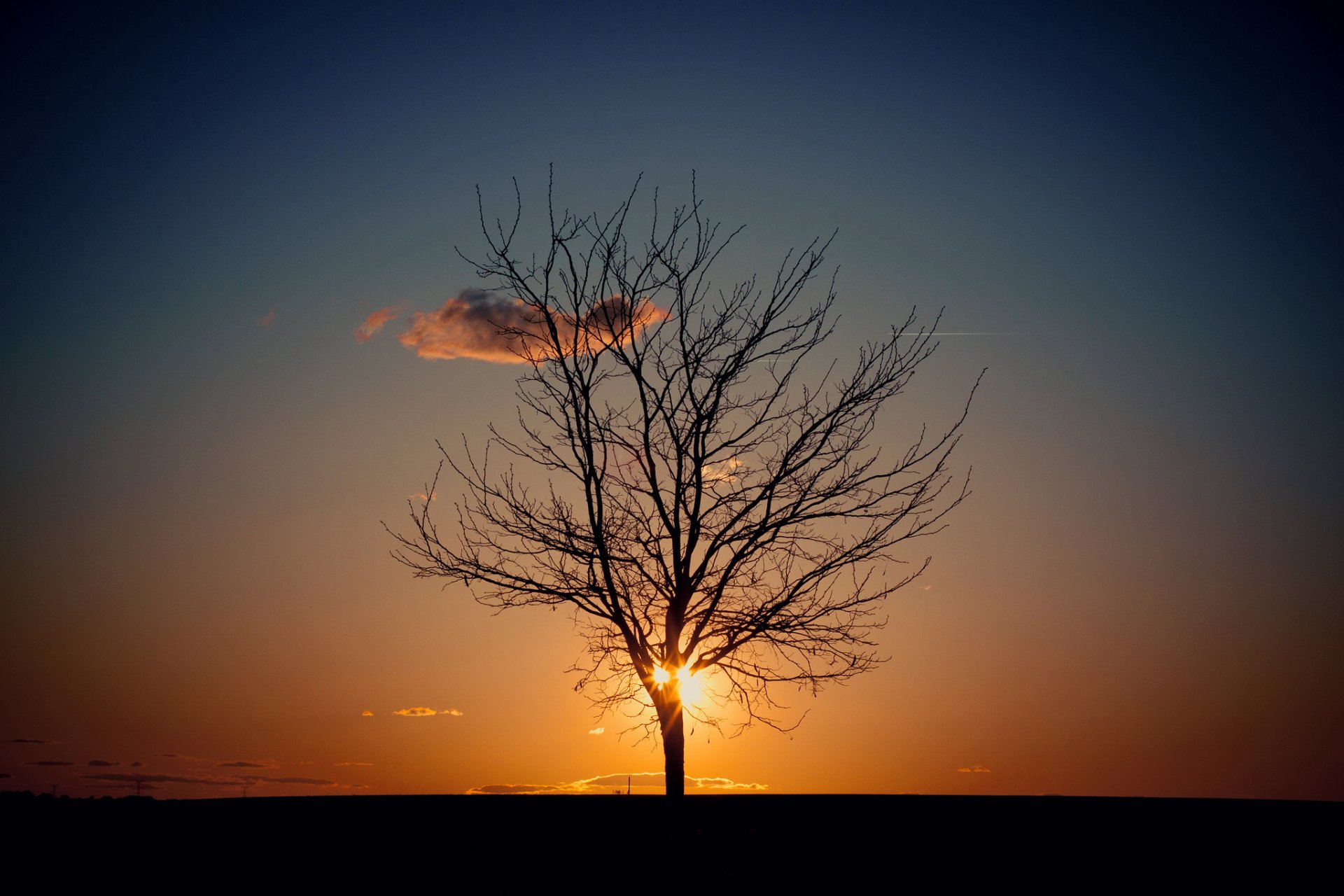 HD PC desktop wallpaper featuring a lone leafless tree silhouetted against a vibrant sunset sky in a serene natural landscape.