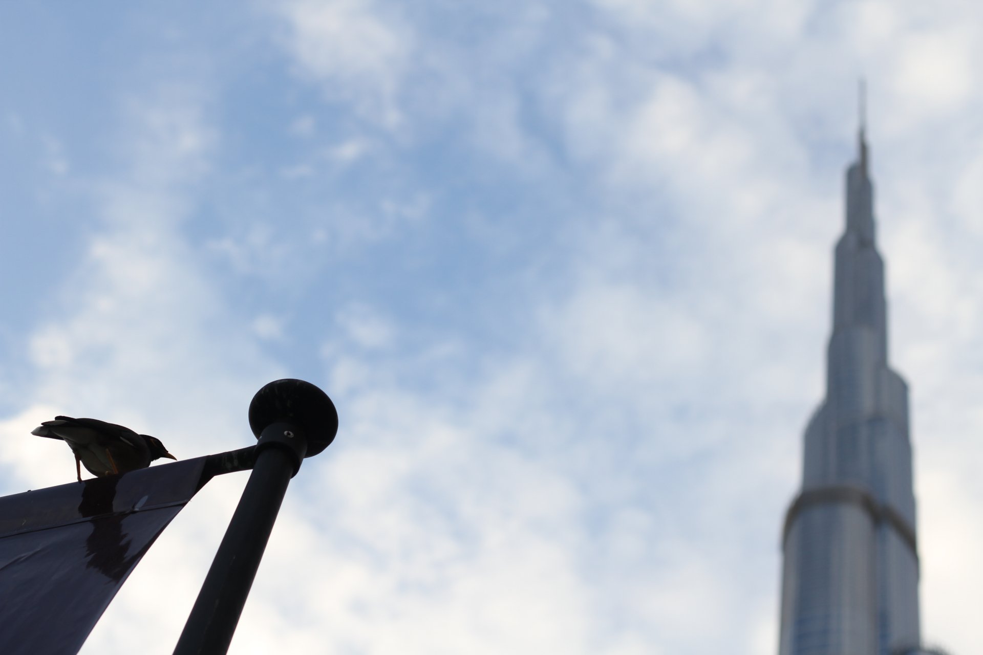 2K Quad HD PC desktop wallpaper: crow silhouette perched on a flagpole with Dubai city skyline and the Burj Khalifa tower rising into a cloudy sky.