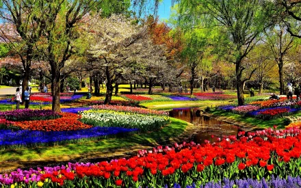 A vibrant park scene featuring blooming tulips and cherry blossoms, with a tranquil stream flowing through lush greenery. This beautiful photography makes an appealing HD desktop wallpaper.