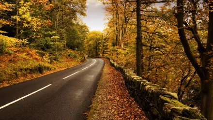 A winding road surrounded by vibrant autumn trees and a stone wall, creating a serene and picturesque scene. High-definition wallpaper for nature lovers.