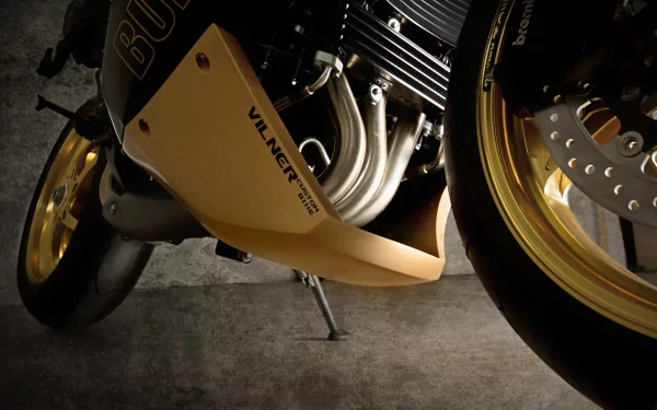  Vilner Triumph Speed Tripple Bulldog Custom Bike