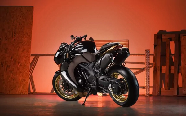  Vilner Triumph Speed Tripple Bulldog Custom Bike