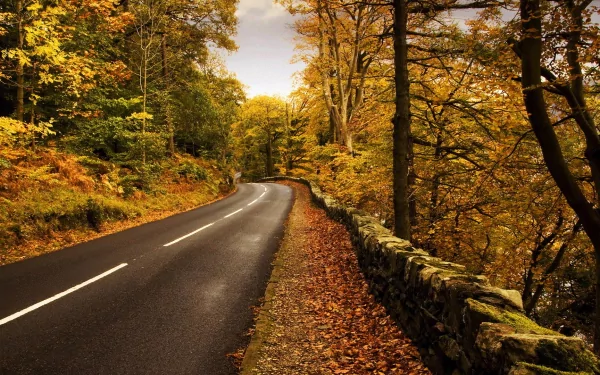 A winding road surrounded by vibrant autumn trees and a stone wall, creating a serene and picturesque scene. High-definition wallpaper for nature lovers.