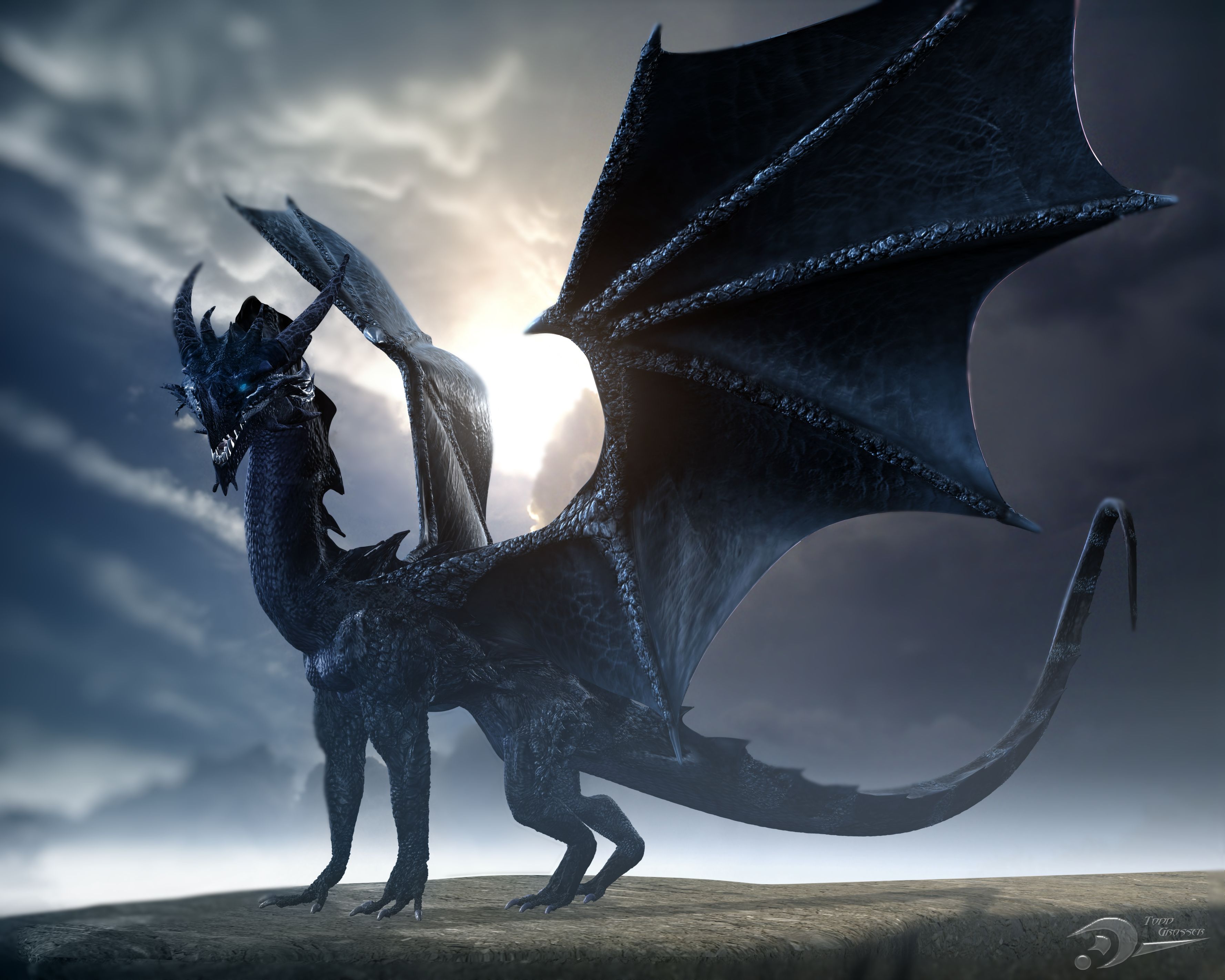 Storm Dragon HD Wallpaper | Hintergrund | 3555x2844 | ID:402986 ...