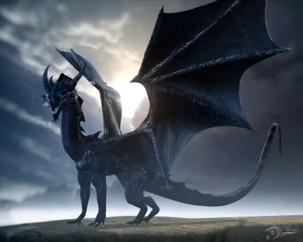 HD fantasy PC desktop wallpaper featuring a majestic black dragon with spread wings against a cloudy, moonlit sky.