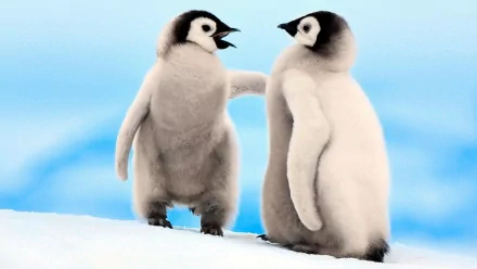 HD desktop wallpaper featuring two adorable emperor penguin chicks standing on snow with a blue sky backdrop.