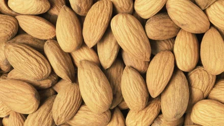A close-up image of scattered almonds, showcasing their textured brown shells, set against a subtle backdrop. This HD wallpaper brings a warm, natural touch to your desktop.