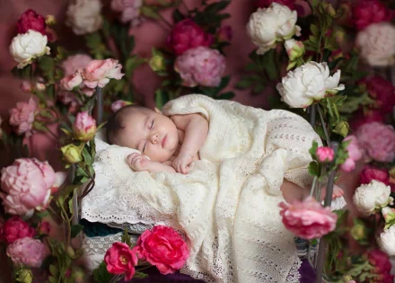 A serene baby sleeps peacefully among vibrant pink and white flowers, captured in a stunning HD photography style, creating a beautiful desktop wallpaper and background.
