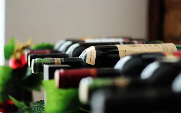 A close-up of assorted wine bottles arranged on a rack, surrounded by green leaves, making an elegant food and wine-themed HD desktop wallpaper.