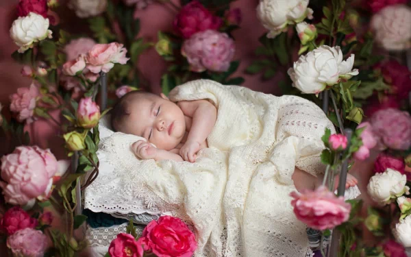 A serene baby sleeps peacefully among vibrant pink and white flowers, captured in a stunning HD photography style, creating a beautiful desktop wallpaper and background.
