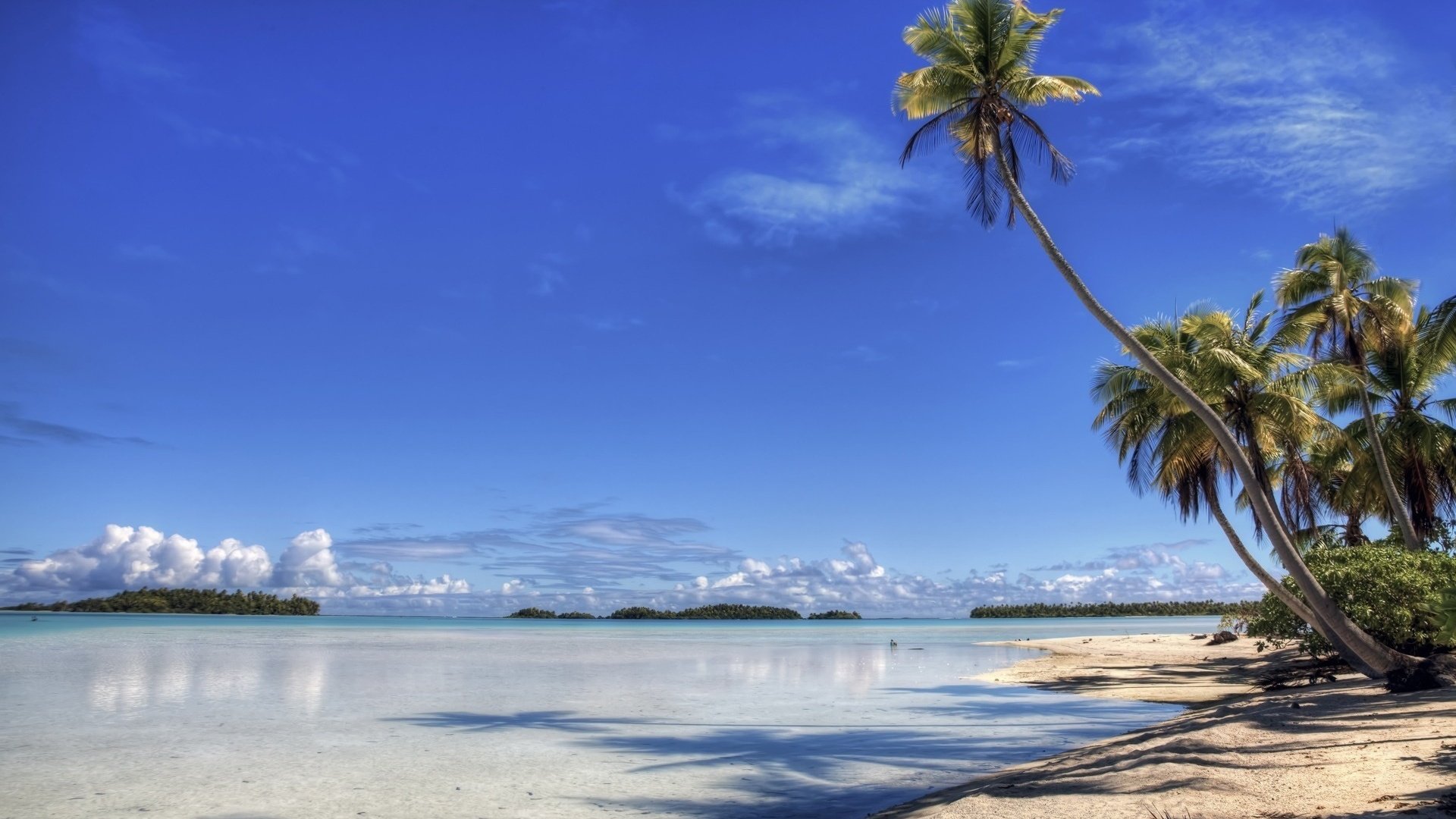 HD PC desktop wallpaper featuring a serene beach scene with clear ocean water, soft sand, and palm trees under a bright blue sky.