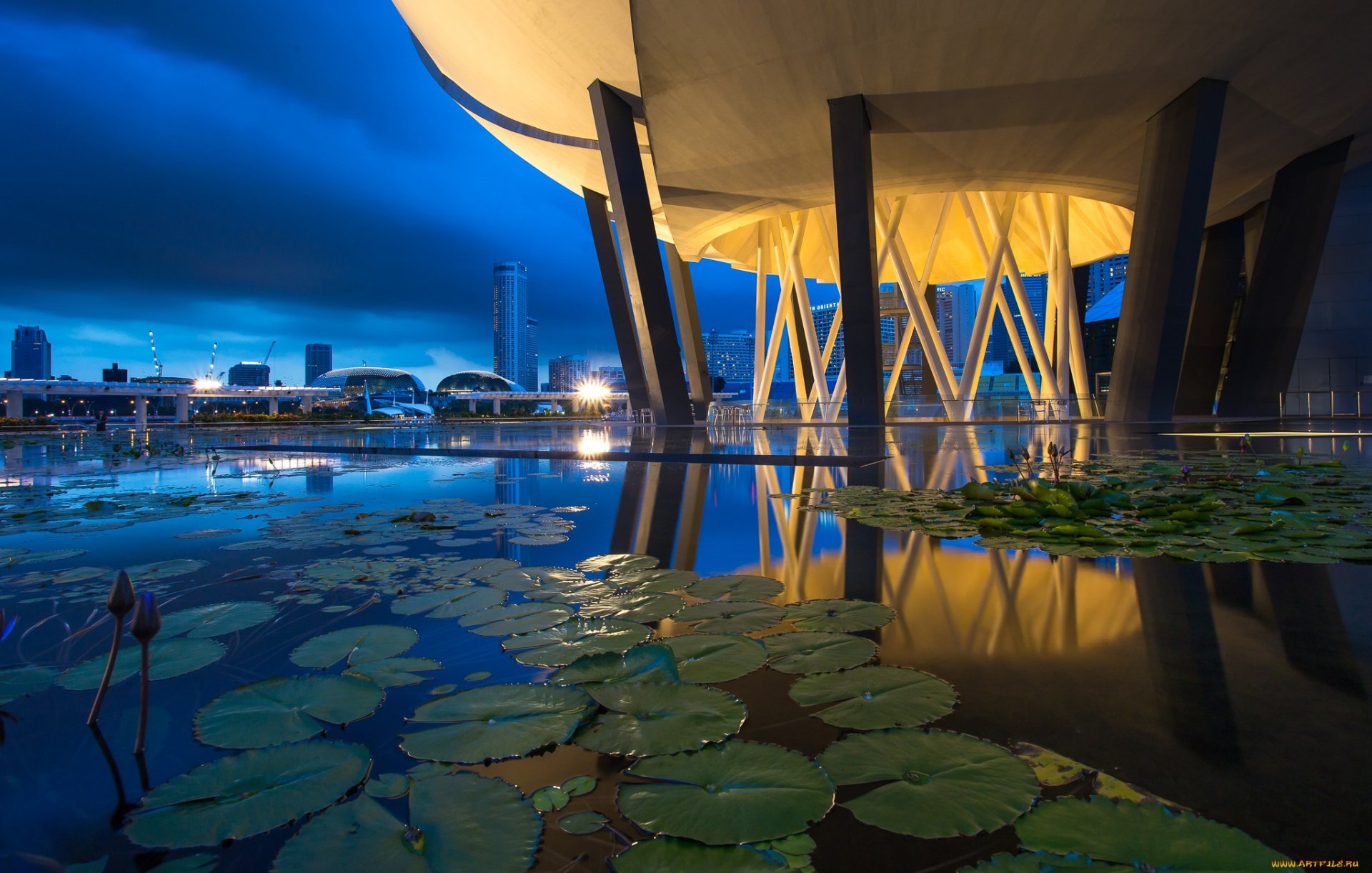 A stunning HD wallpaper showcasing a man-made structure in Singapore, illuminated at dusk with reflections on water and lily pads, creating a serene urban scene.