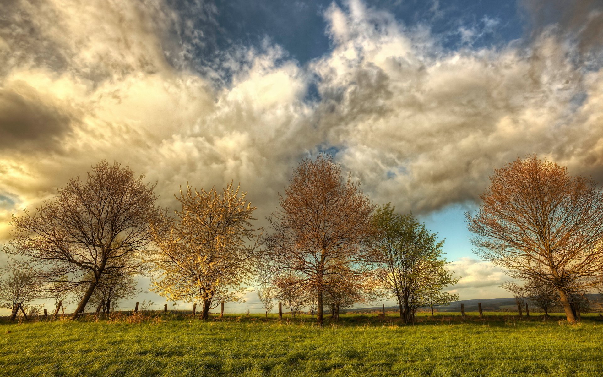 HD PC desktop wallpaper featuring a vibrant landscape of trees with autumn foliage under a dramatic sky filled with textured clouds.