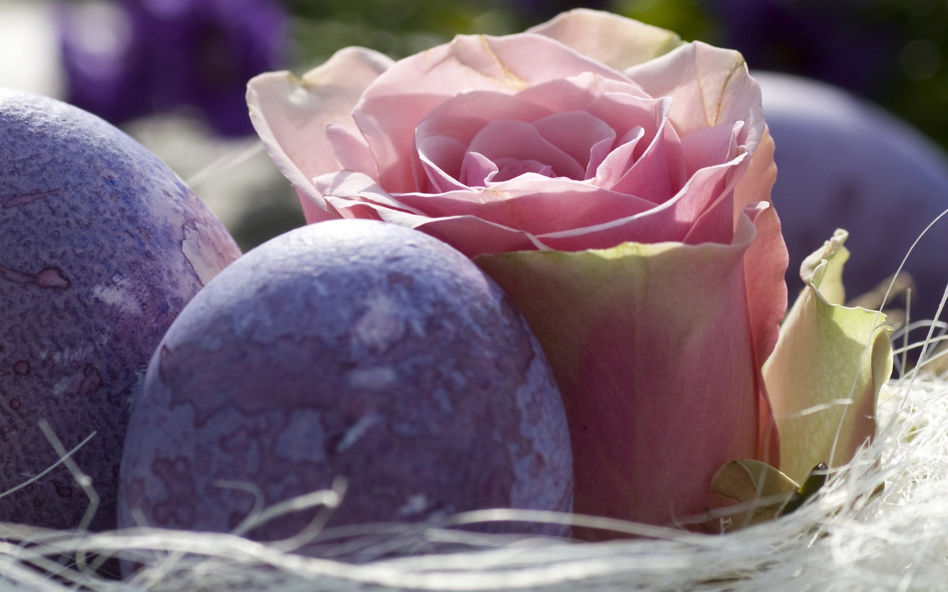 A beautiful HD desktop wallpaper featuring a pink rose nestled among two decorative pastel Easter eggs, surrounded by soft, natural fibers, evoking a joyful holiday spirit.