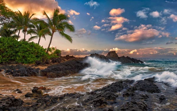 HD desktop wallpaper of a Hawaiian coastline featuring waves splashing against rocky shorelines, palm trees, and a vibrant sky over the ocean horizon.