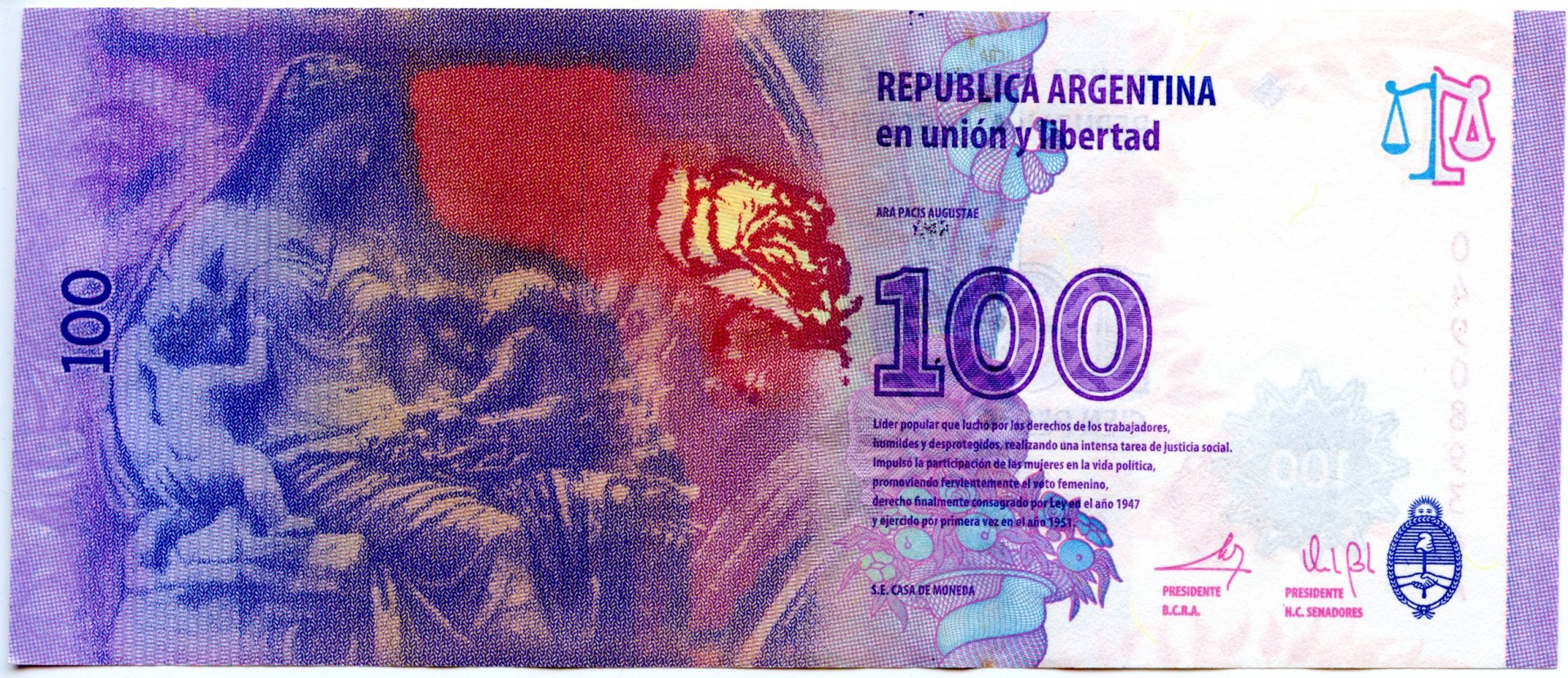 Download Money Man Made Argentine Peso HD Wallpaper