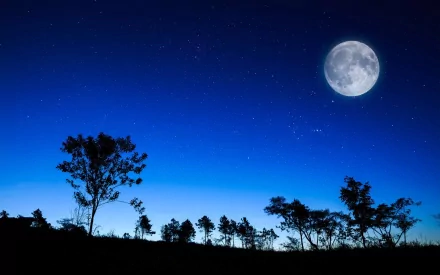 A serene night scene showcasing a large moon against a deep blue sky, with silhouettes of trees creating a tranquil atmosphere—an inspiring nature-themed HD wallpaper.
