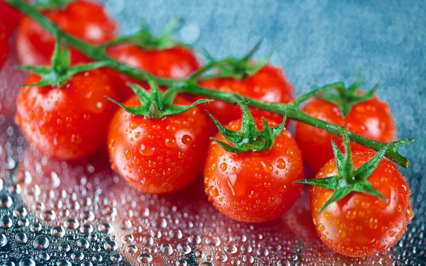 Food Tomato Fruits HD Wallpaper | Background Image