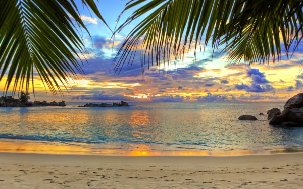 HD desktop wallpaper of a tropical beach at sunset. The horizon showcases a stunning sky over a serene ocean, framed by palm fronds, with sandy shore and calm sea waves enhancing the natural beauty.