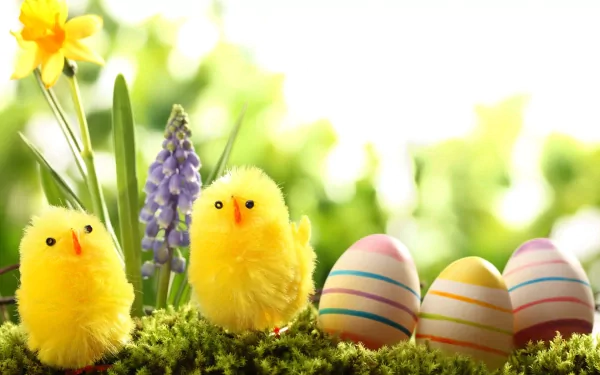 A vibrant Easter-themed HD wallpaper featuring fluffy yellow chicks, colorful striped eggs, and blooming flowers amidst a lush green background, celebrating the holiday spirit.
