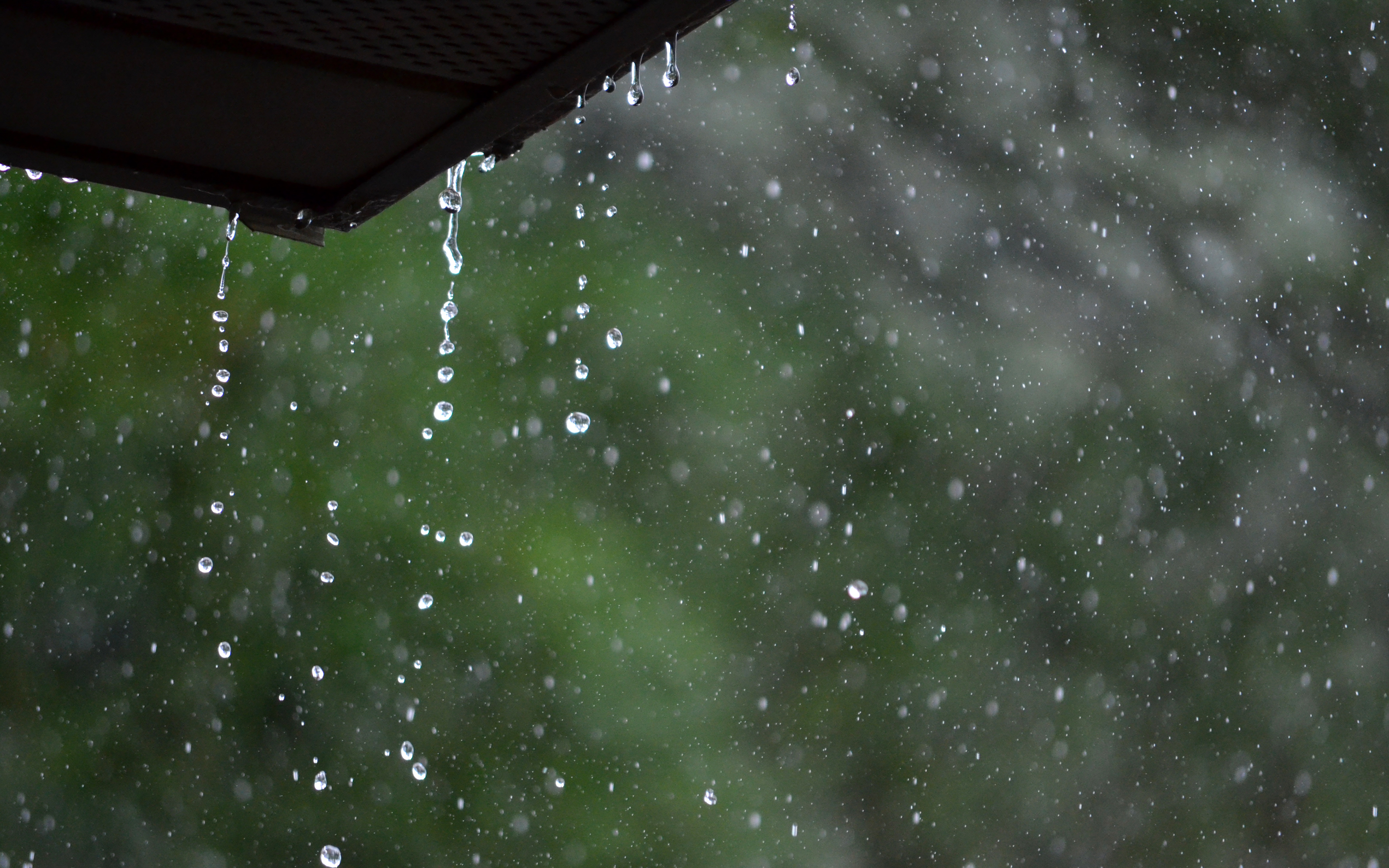 Дождь ком. Ливень. Дождь фото. Мелкий дождь. Дождь ливень.