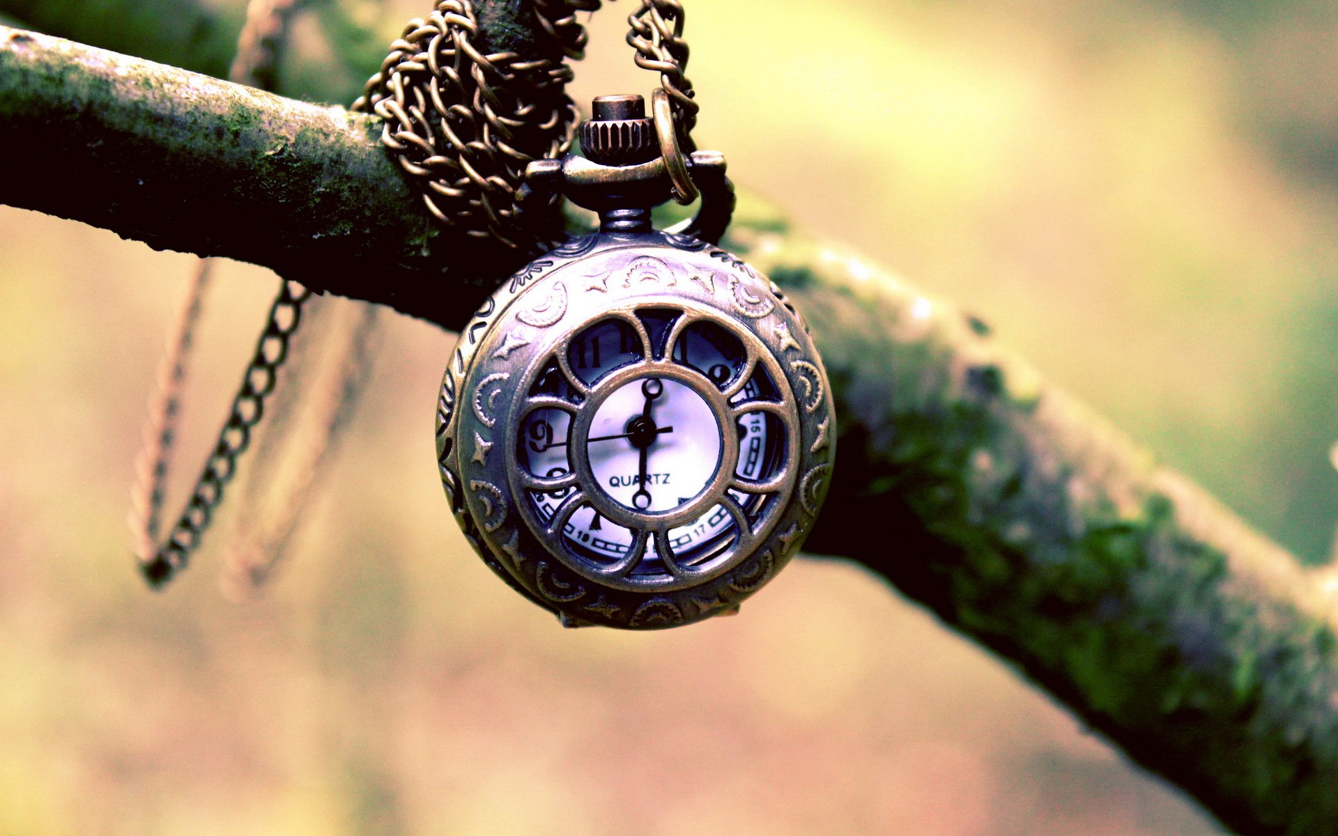 Close-up of an ornate man-made pocket watch with a chain hanging from a tree branch, captured in HD quality as a desktop wallpaper and background.