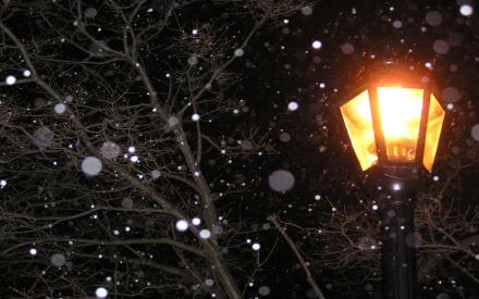 A warm lamp post illuminates a snowy night, surrounded by bare branches, creating a serene winter atmosphere. This HD image serves as a captivating desktop wallpaper or background.