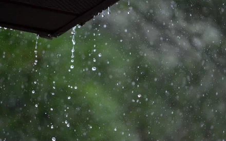 Close-up of raindrops cascading from a roof, with a blurred green backdrop. This HD photography captures the serene essence of rain, making it a beautiful desktop wallpaper.