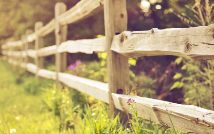 A charming wooden fence lines a lush green area, accentuated by wildflowers, creating a serene backdrop that serves as a captivating HD desktop wallpaper.
