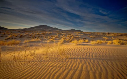 HD PC desktop wallpaper depicting a serene desert landscape with golden sand dunes under a deep blue sky, showcasing natural beauty.