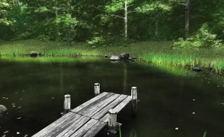 A serene HD wallpaper featuring a man-made wooden pier extending into a still, dark pond, surrounded by lush greenery and tall grass, creating a tranquil natural setting.