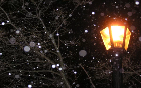 A warm lamp post illuminates a snowy night, surrounded by bare branches, creating a serene winter atmosphere. This HD image serves as a captivating desktop wallpaper or background.