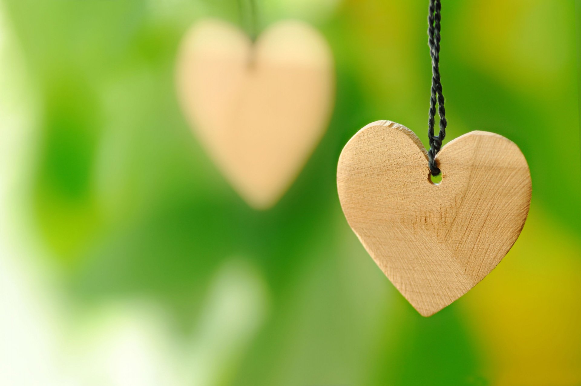 Artistic HD PC desktop wallpaper featuring two wooden heart pendants hanging against a vibrant green, softly blurred background.