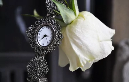 A detailed man-made watch with an ornate design hangs beside a white rose, captured in HD quality as a desktop wallpaper and background.