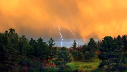 A dramatic scene featuring vibrant lightning striking through intense orange skies, set against a backdrop of lush green forests. High-definition photography for PC wallpapers.