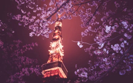 HD desktop wallpaper featuring Tokyo Tower illuminated at night, framed by blooming cherry blossoms against a deep purple sky.