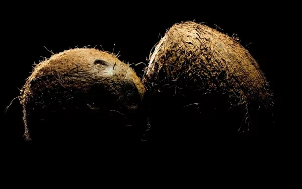 Close-up of two coconuts against a black background, showcasing their textured husks. This vibrant HD wallpaper highlights the natural beauty of food.