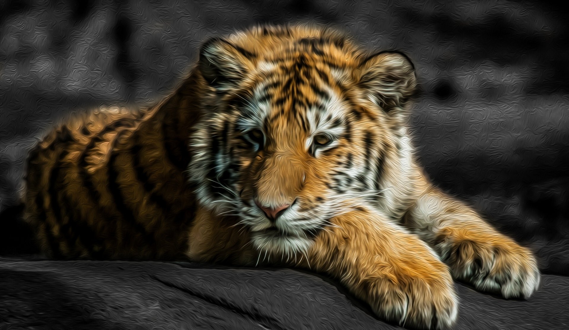 Close-up HD desktop wallpaper of a resting tiger with intense eyes, highlighting its striped fur against a blurred dark background.