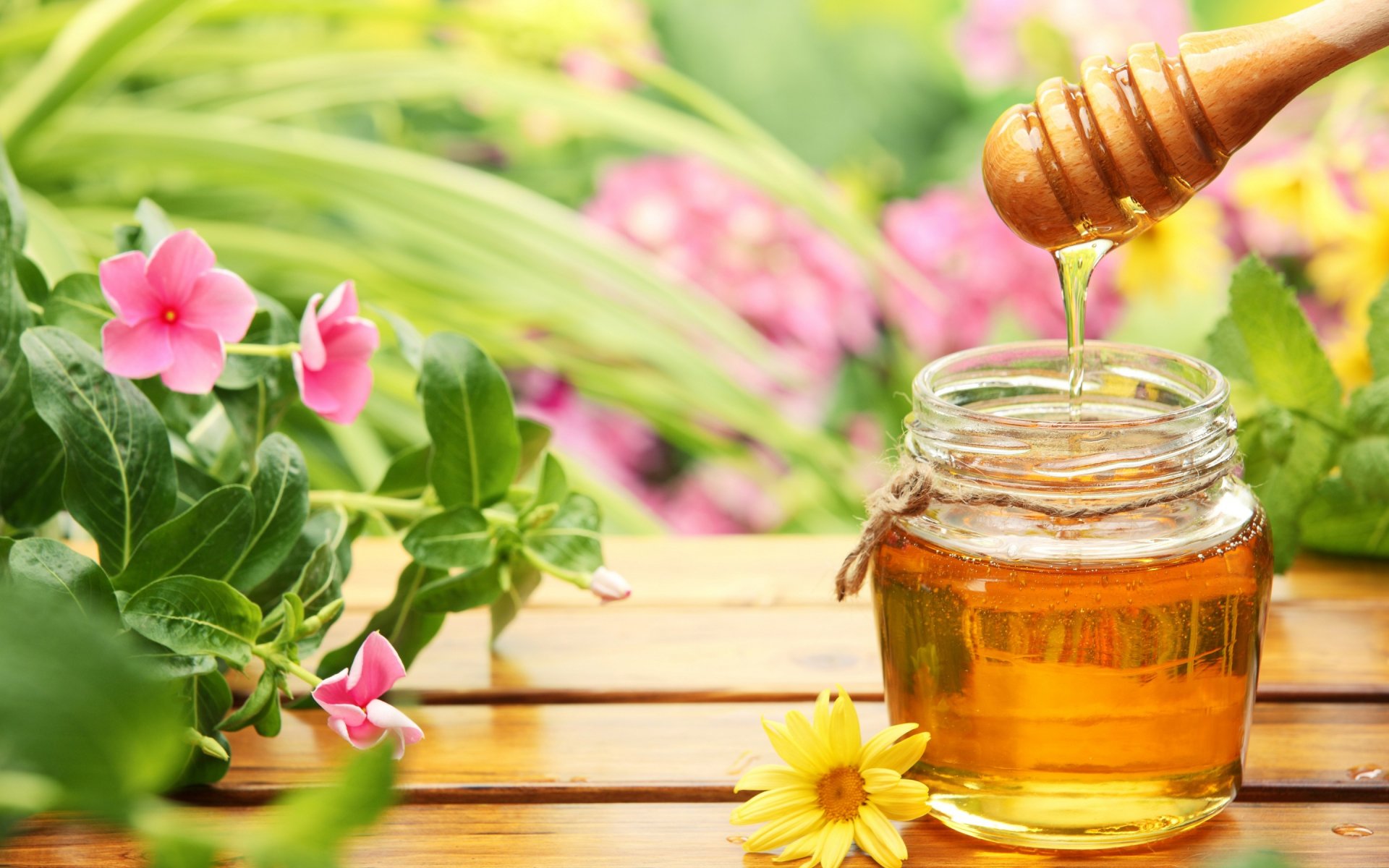 HD desktop wallpaper featuring golden honey dripping from a wooden dipper into a jar, surrounded by vibrant flowers and lush green foliage.
