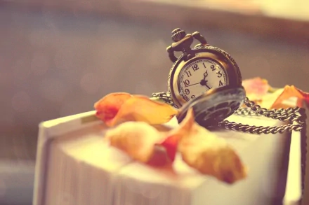Close-up of a vintage pocket watch resting on a book with scattered rose petals, captured in a detailed 4K Ultra HD man-made watch wallpaper.