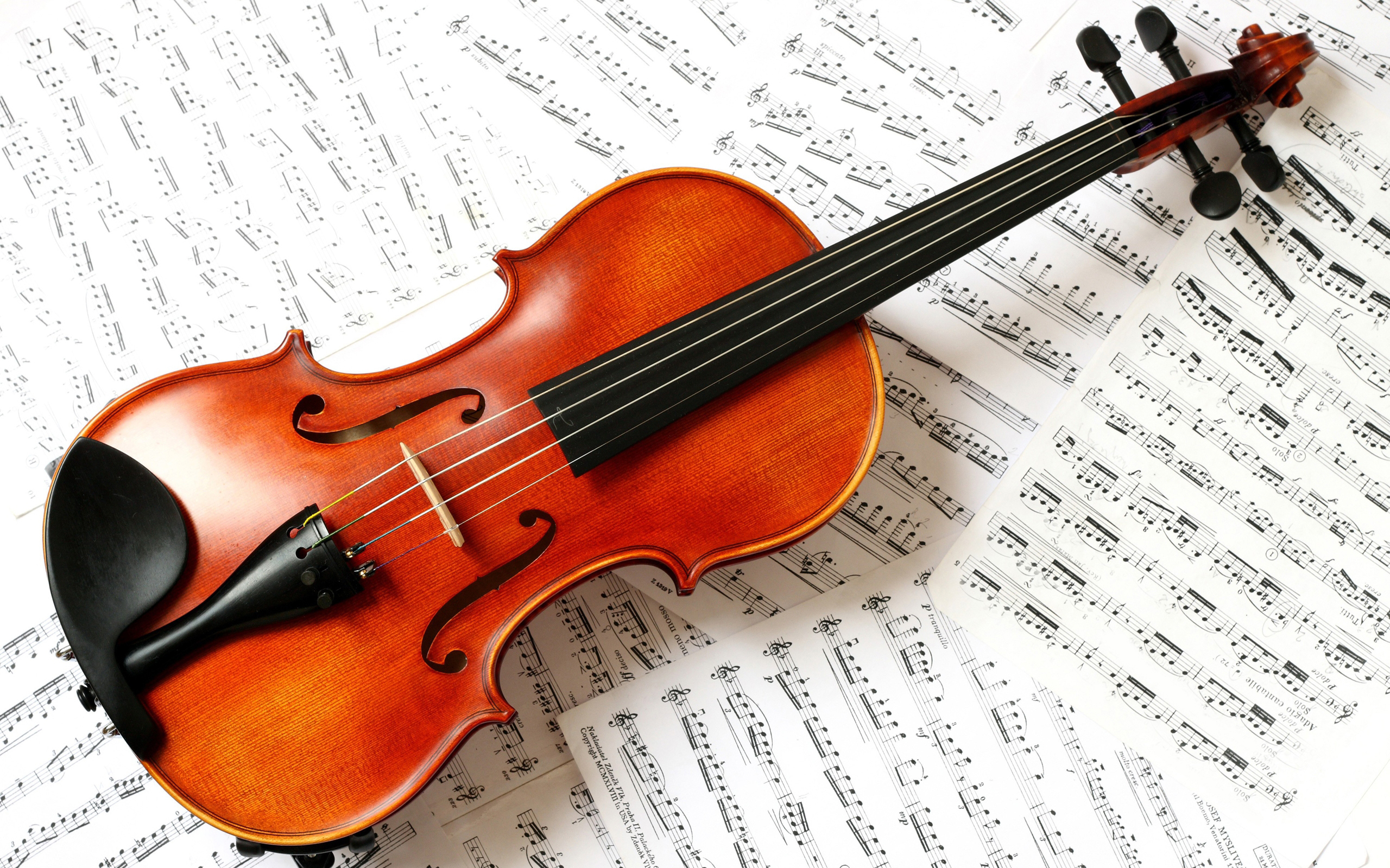 Violin HD Wallpaper | Background Image | 2560x1600