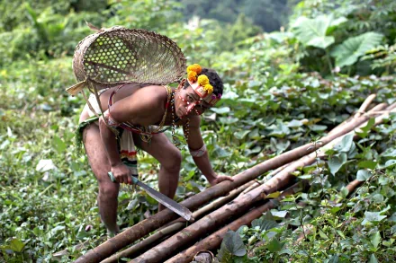 man orang asli HD Desktop Wallpaper | Background Image