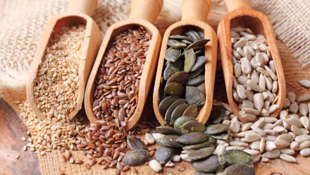 food seed HD Desktop Wallpaper | Background Image