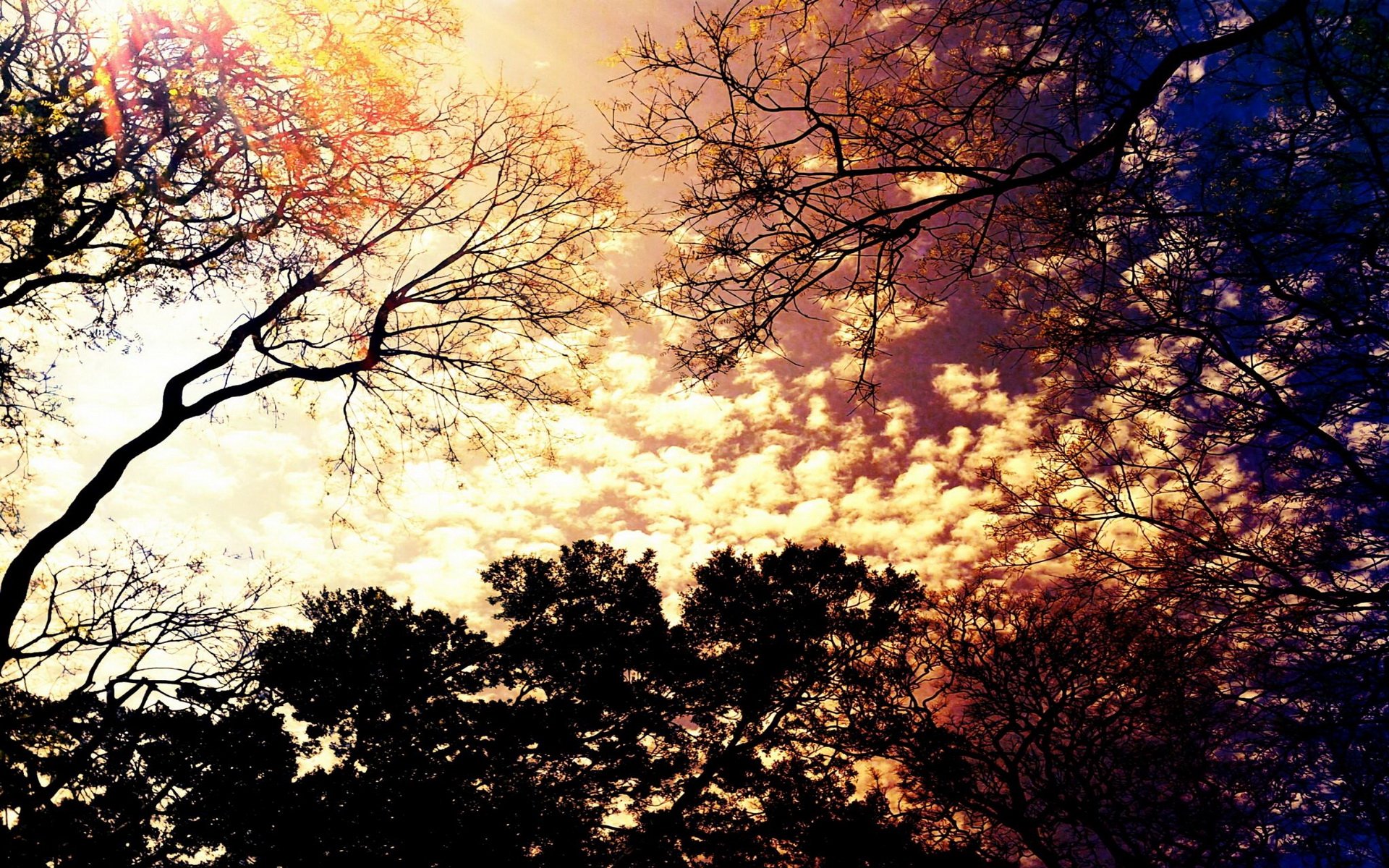 Download Nature Sky HD Wallpaper